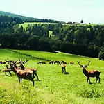 Hauser Hof Grübl Apartment Waldkirchen