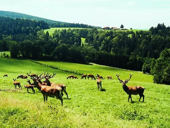 Hauser Hof Gruebl 아파트 발트키르헨